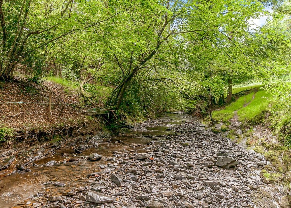 Nant-Y-Coed Lodges Mochdre  Kültér fotó
